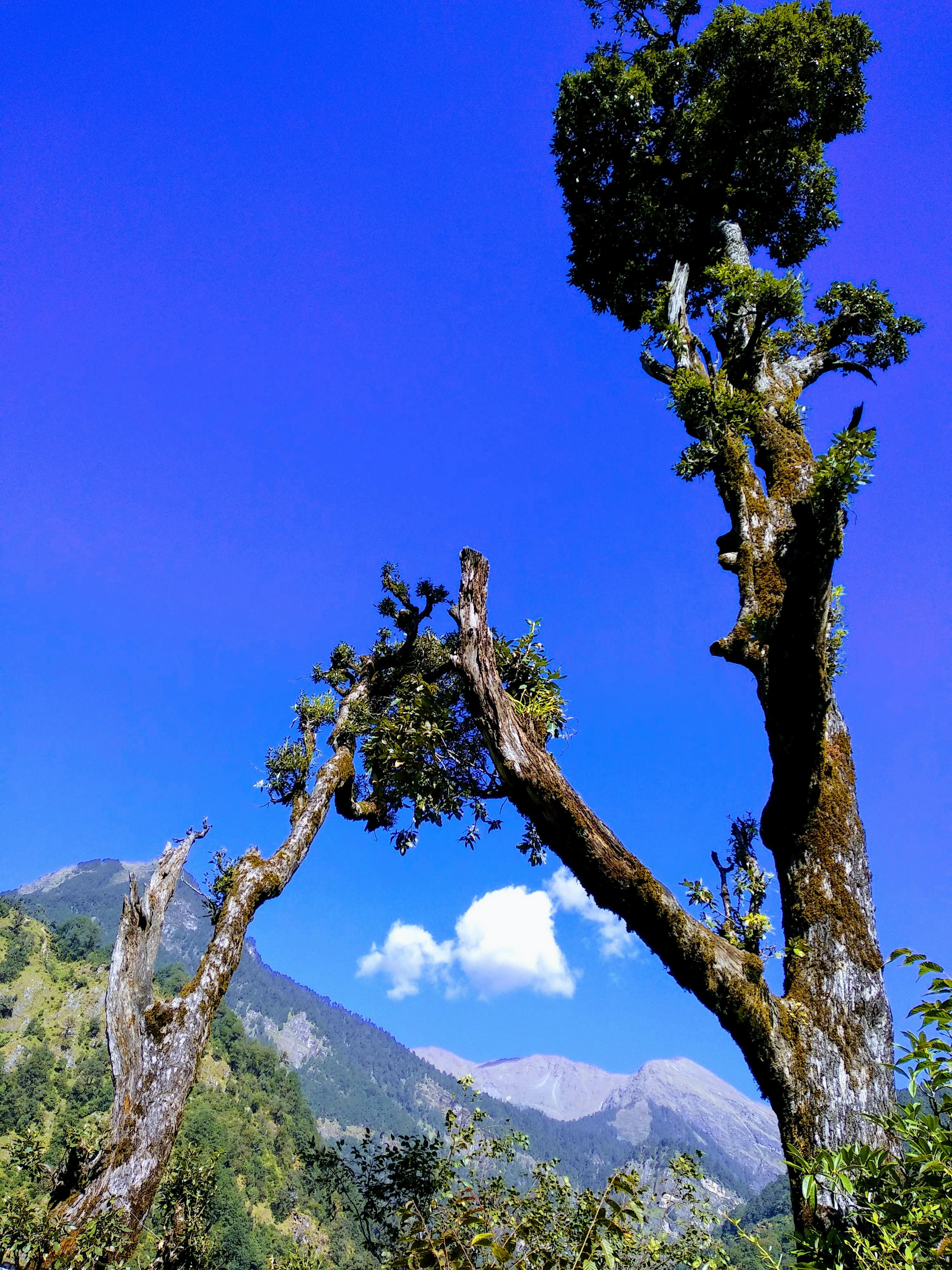 Image of a business owner working hard at their desk.