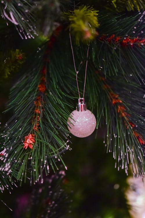 Decorative Christmas ball hanging on green branch of coniferous tree during festive holiday celebration in light room on blurred background