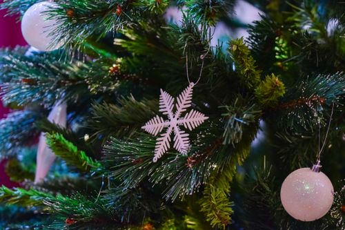 Free Small decorative shiny baubles and snowflake hanging on green branches of coniferous tree during festive Christmas celebration in decorated room Stock Photo