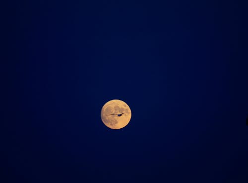 Free stock photo of moon photography
