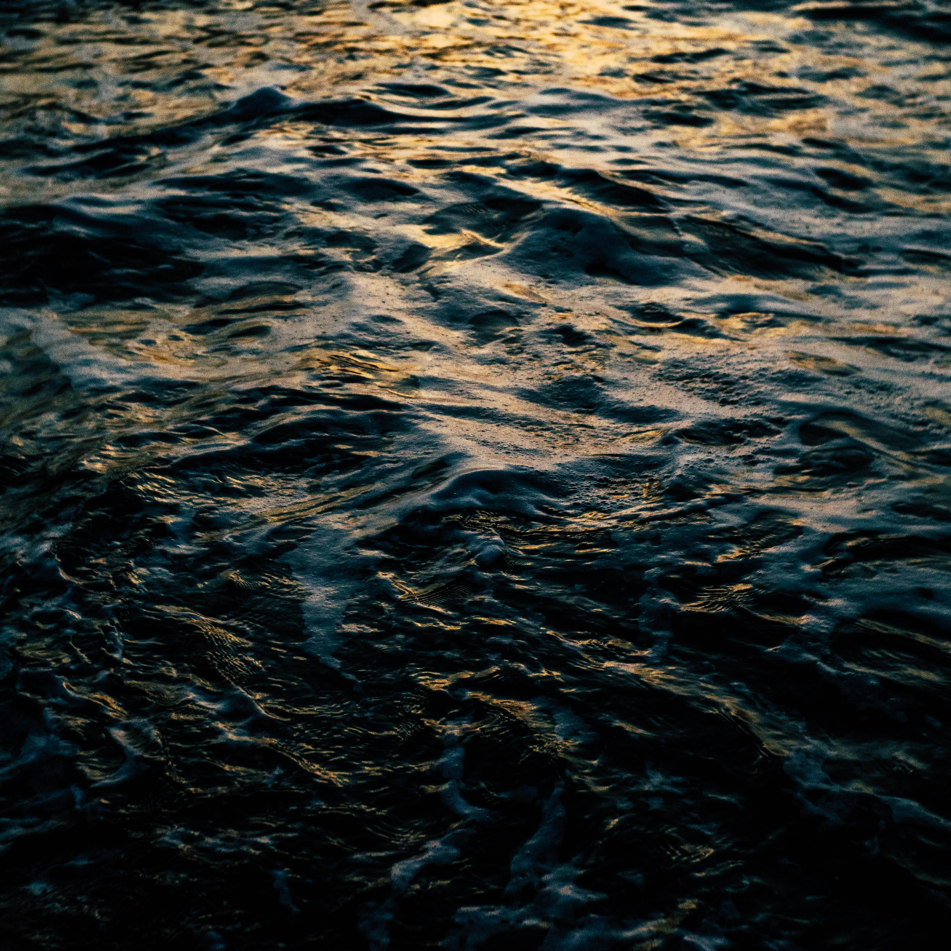 Free stock photo of evening sun, golden sun, salt water