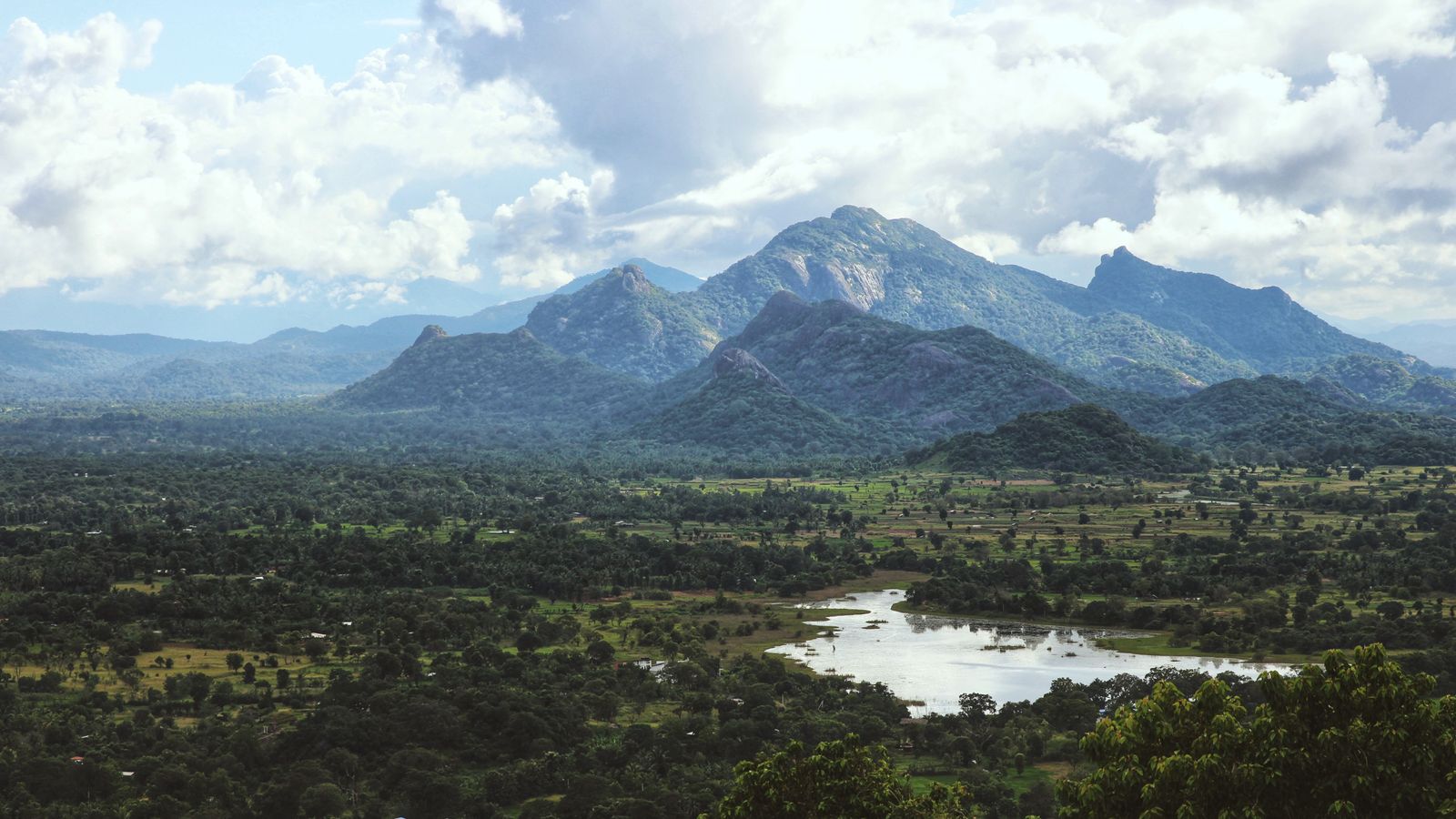 A pond near a forest and mountains, Sierra Leone