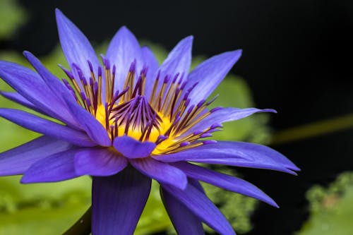 Raise Your Vibration to Effortlessly Manifest