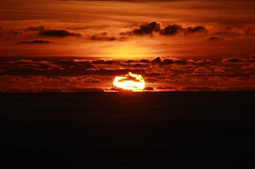 Fotos de stock gratuitas de sol