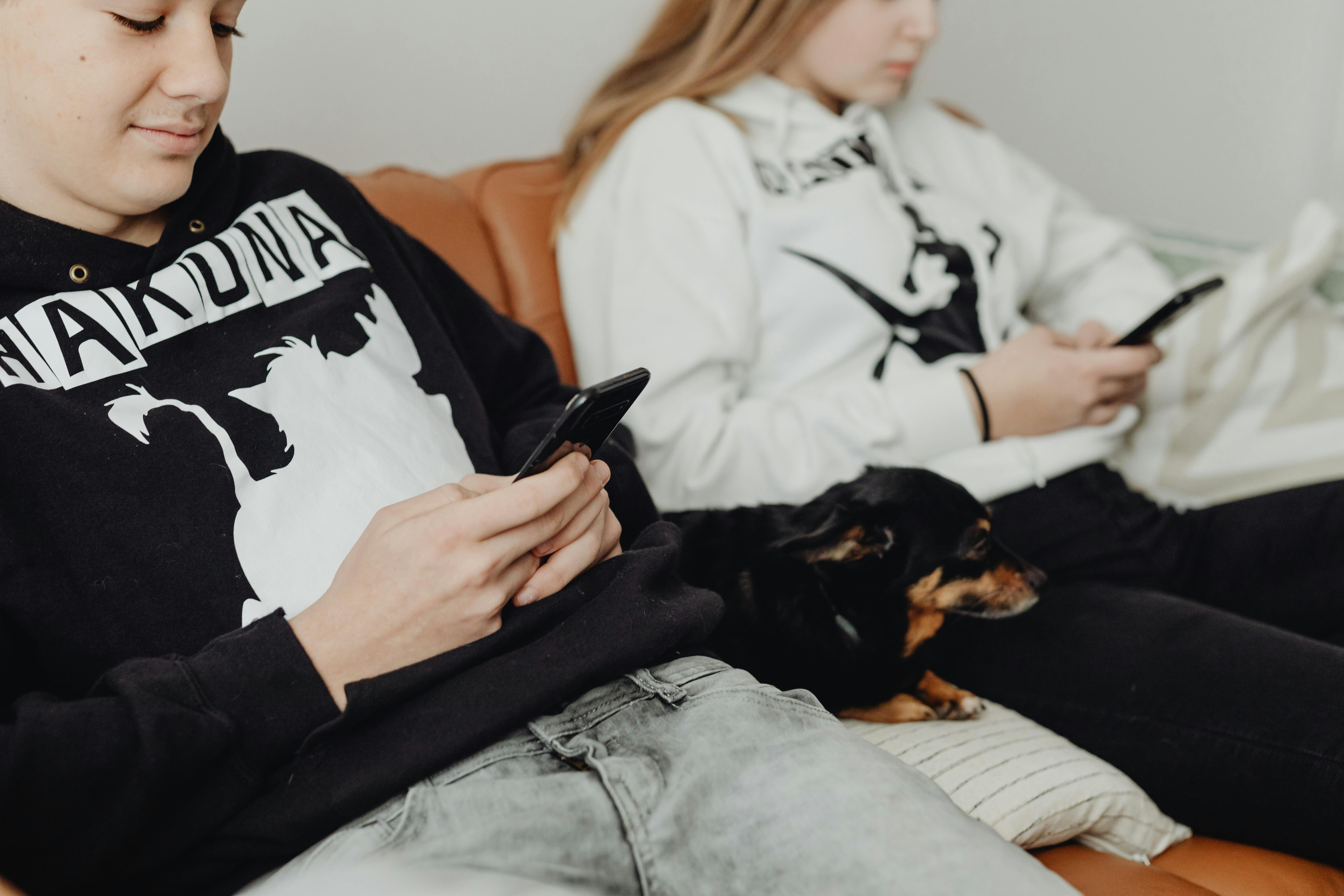pet technology, pet technology companies, pet technology jobs, pet technology store, pet technology brain, pet technology mar