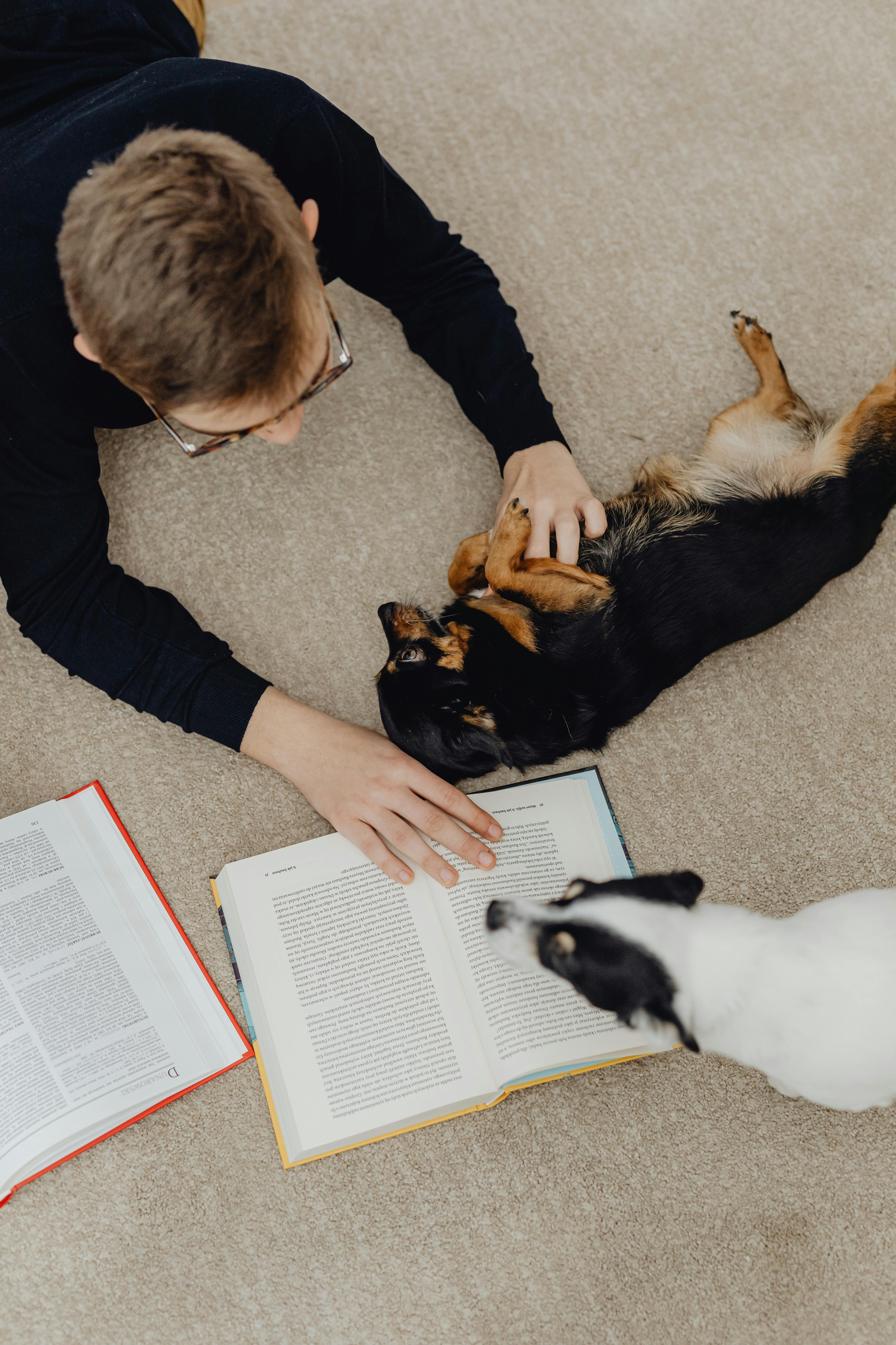 boy playing with dog and reading book