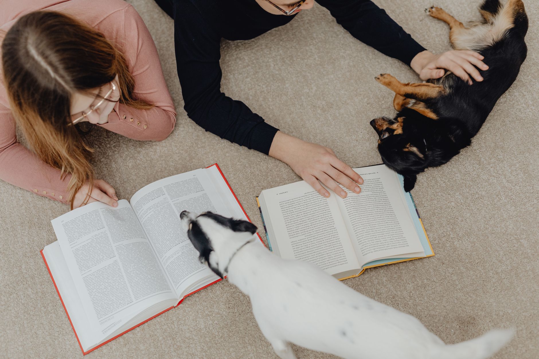 PAWS for Reading: Reluctant Readers (Grades K-3)