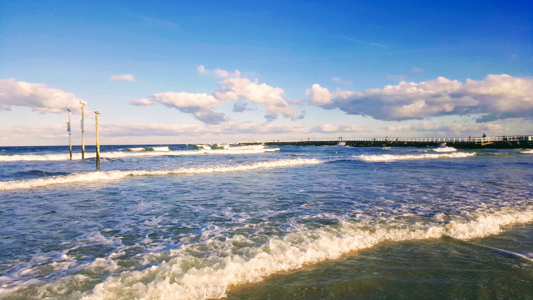 Central Coast