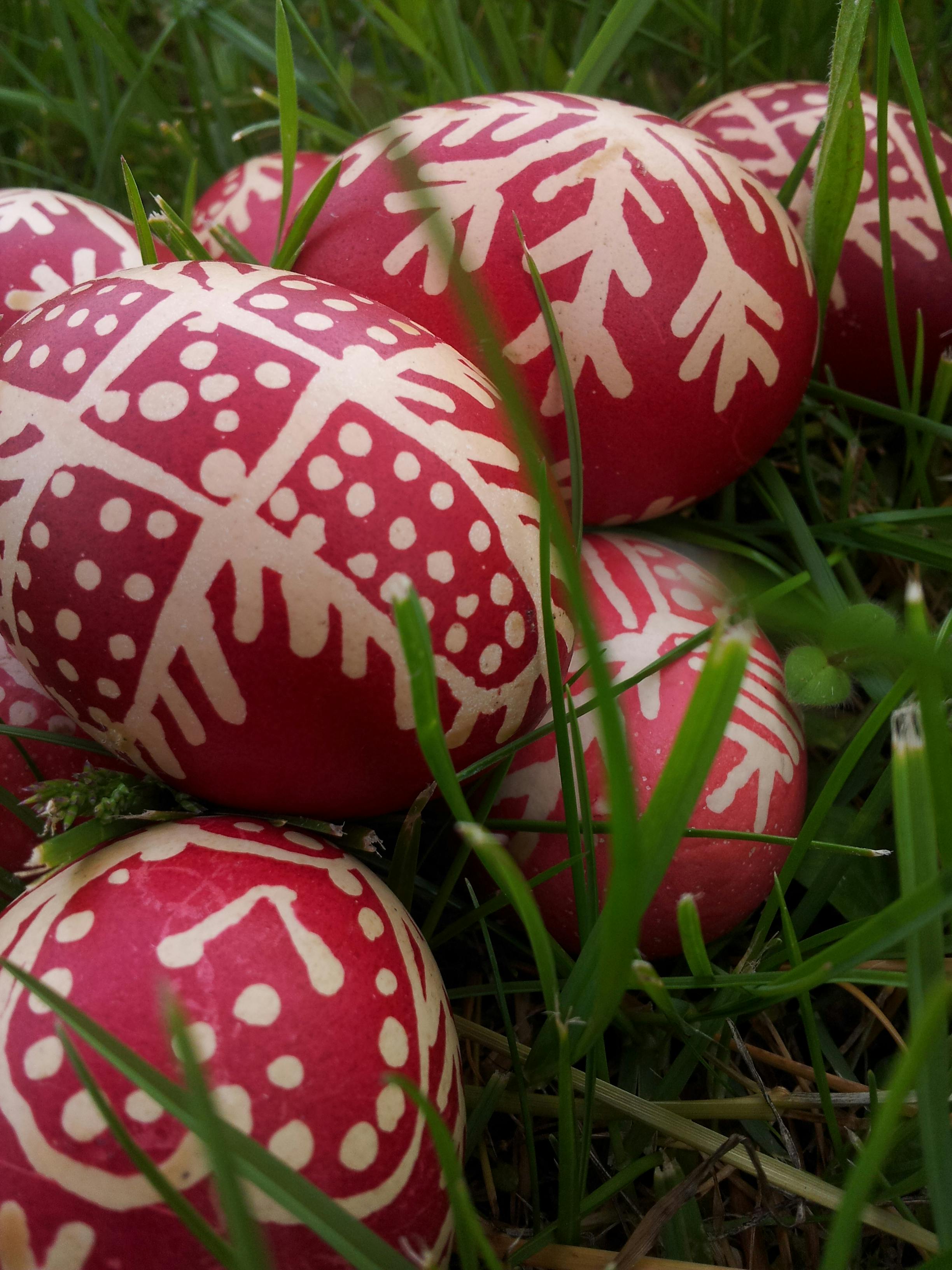 Free stock photo of countryside, easter, eggs