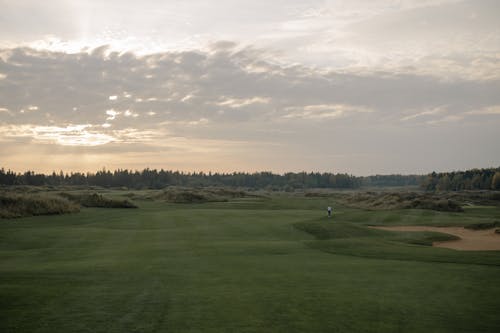 Gratis lagerfoto af bane, eng, Golfbane