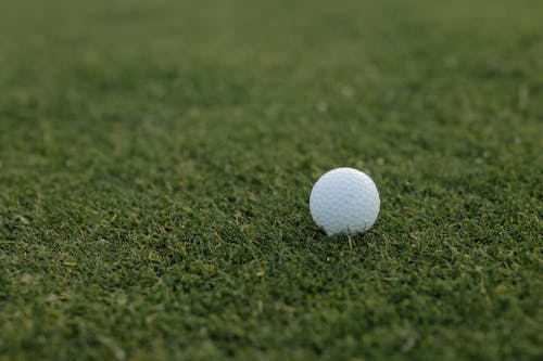 gratis Witte Golfbal Op Groen Grasveld Stockfoto