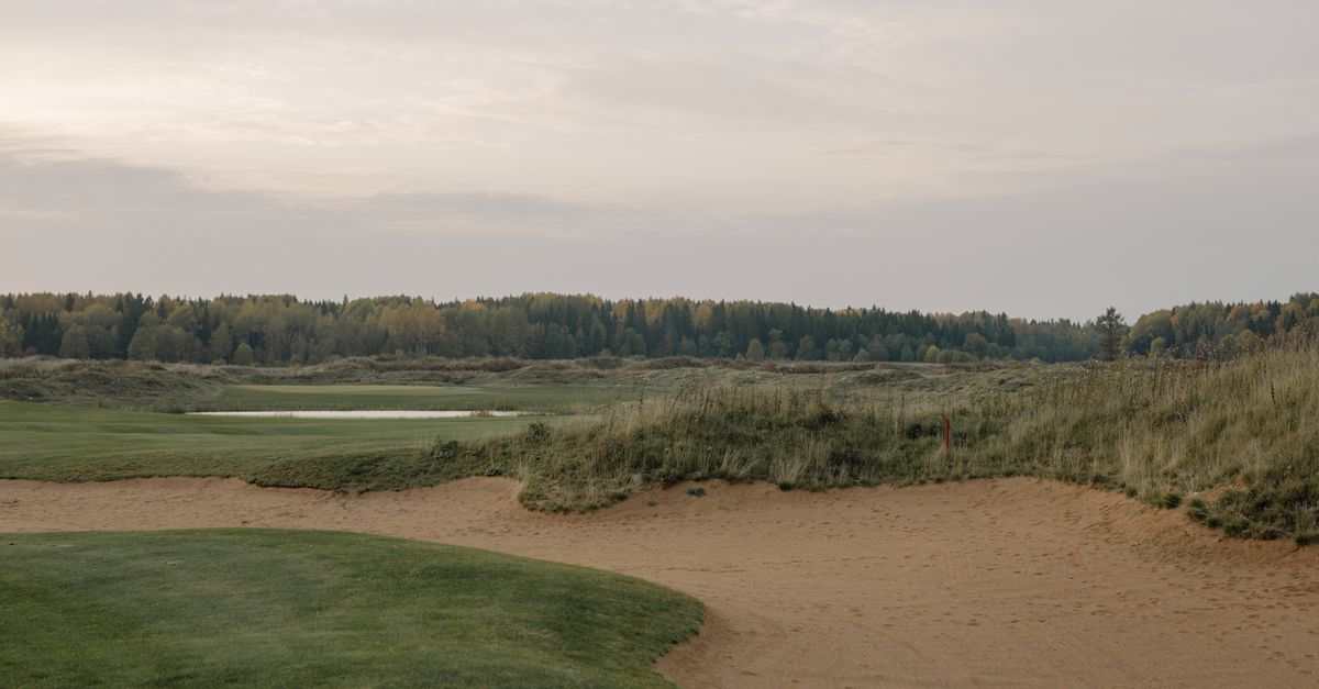Peaceful landscape of a golf course with sand trap and distant forest at dawn.