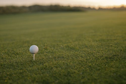 A Golf Ball on the Grass