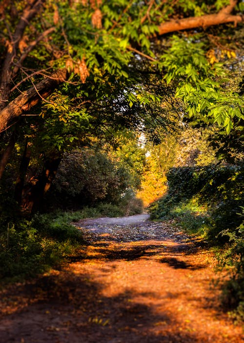 Green Trees