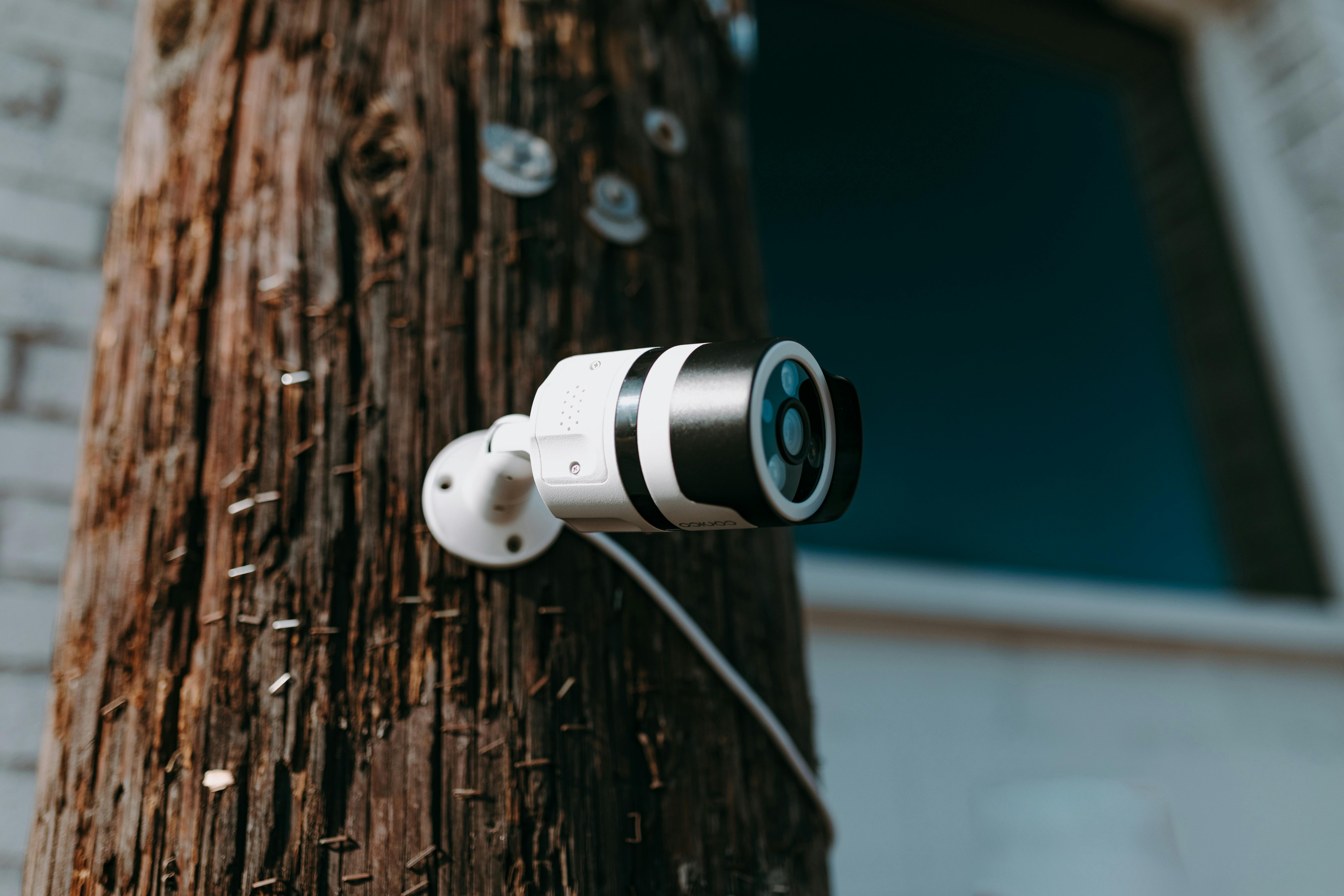 white and black camera lens on brown wooden tree trunk