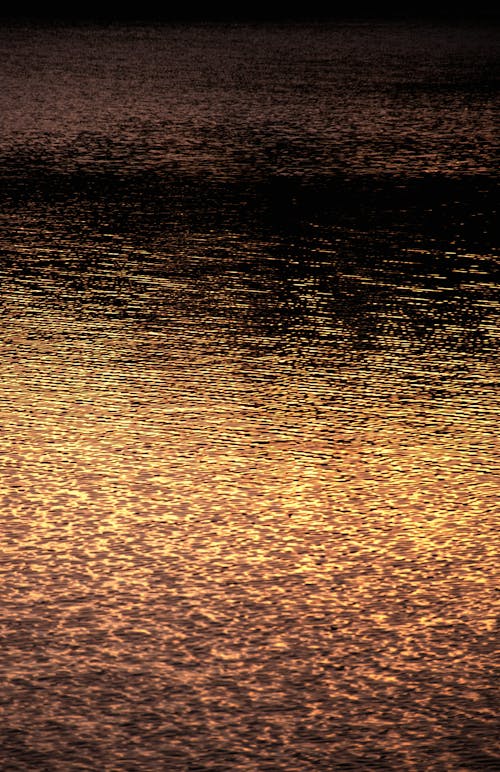 Free stock photo of beautiful sunset, golden water surface, lake surface Stock Photo