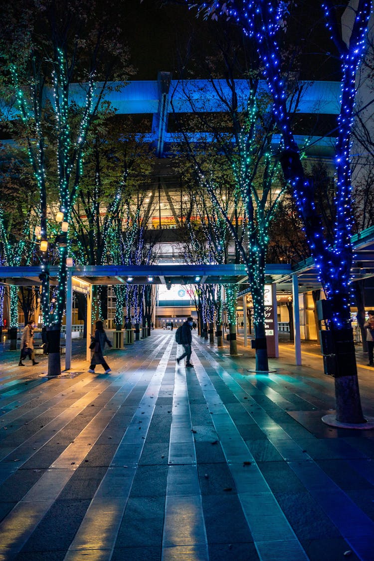 People Walking On Road Near Trees Decorated With Christmas Lights