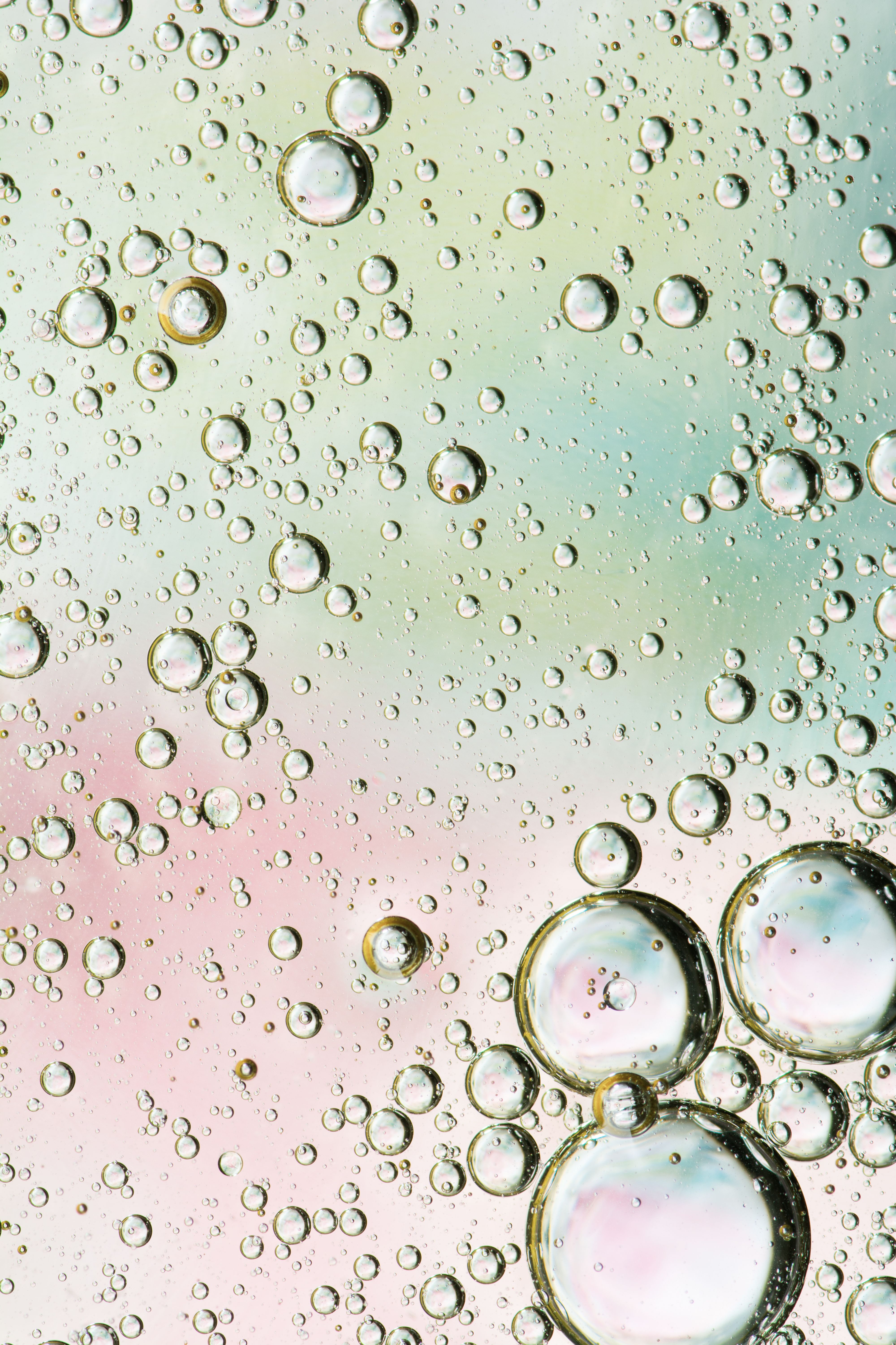 Free Close-up of transparent bubbles on a pastel gradient backdrop, creating an abstract pattern. Stock Photo