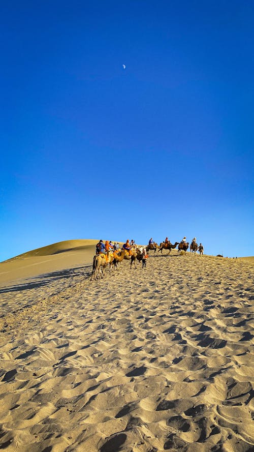 Foto d'estoc gratuïta de bell paisatge, desert, fotografia de paisatge