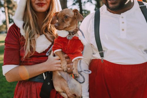 Free A joyful couple dressed in holiday attire holding a dog in a Santa costume outdoors. Stock Photo
