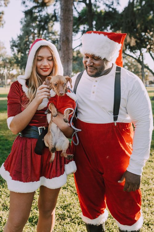 Free A joyful couple in Santa costumes holds a dog in a park, celebrating Christmas. Stock Photo