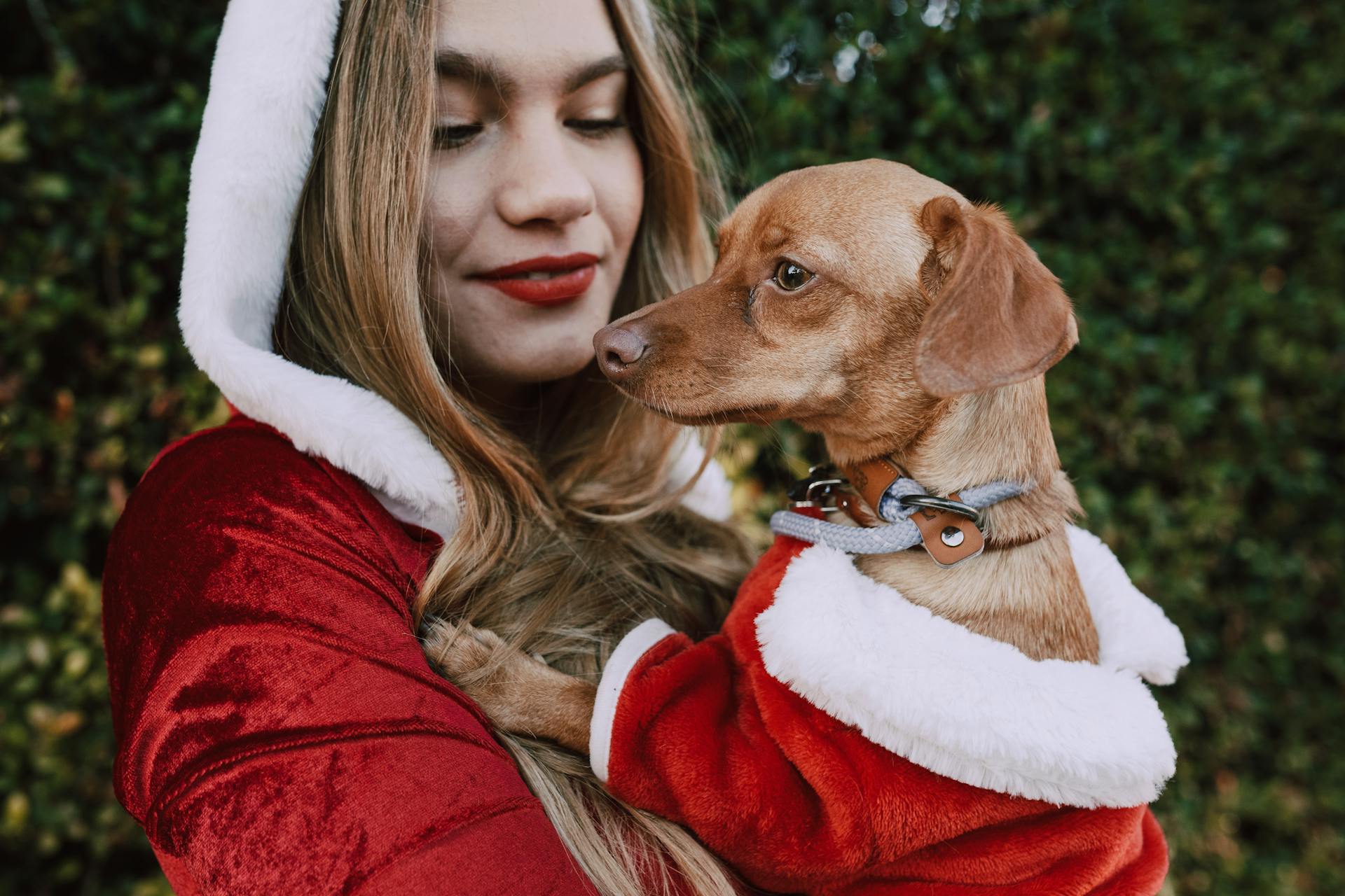 En kvinna i jultomtsdräkt med sin söta hund i famnen