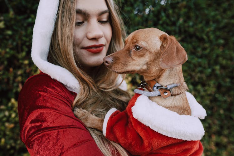 A Woman In Santa Costume Holding Her Cute Dog