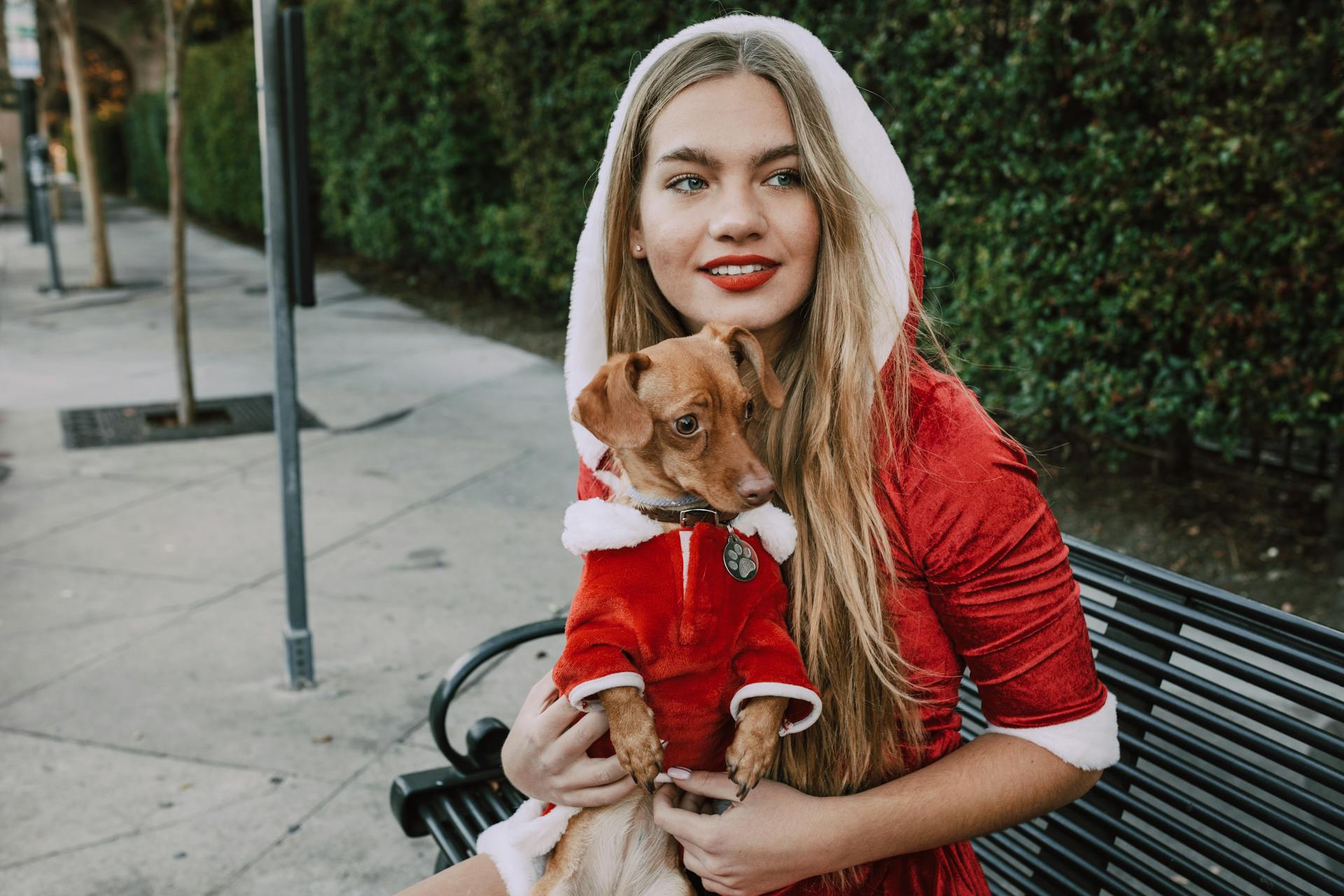 A Woman and a Dog in Costumes Sitting on a Bench