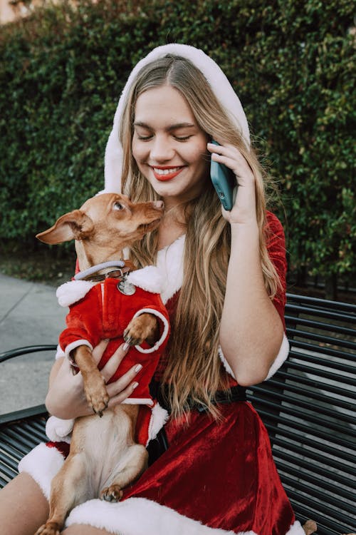 Vrouw In Rode Jurk Met Bruine Chihuahua