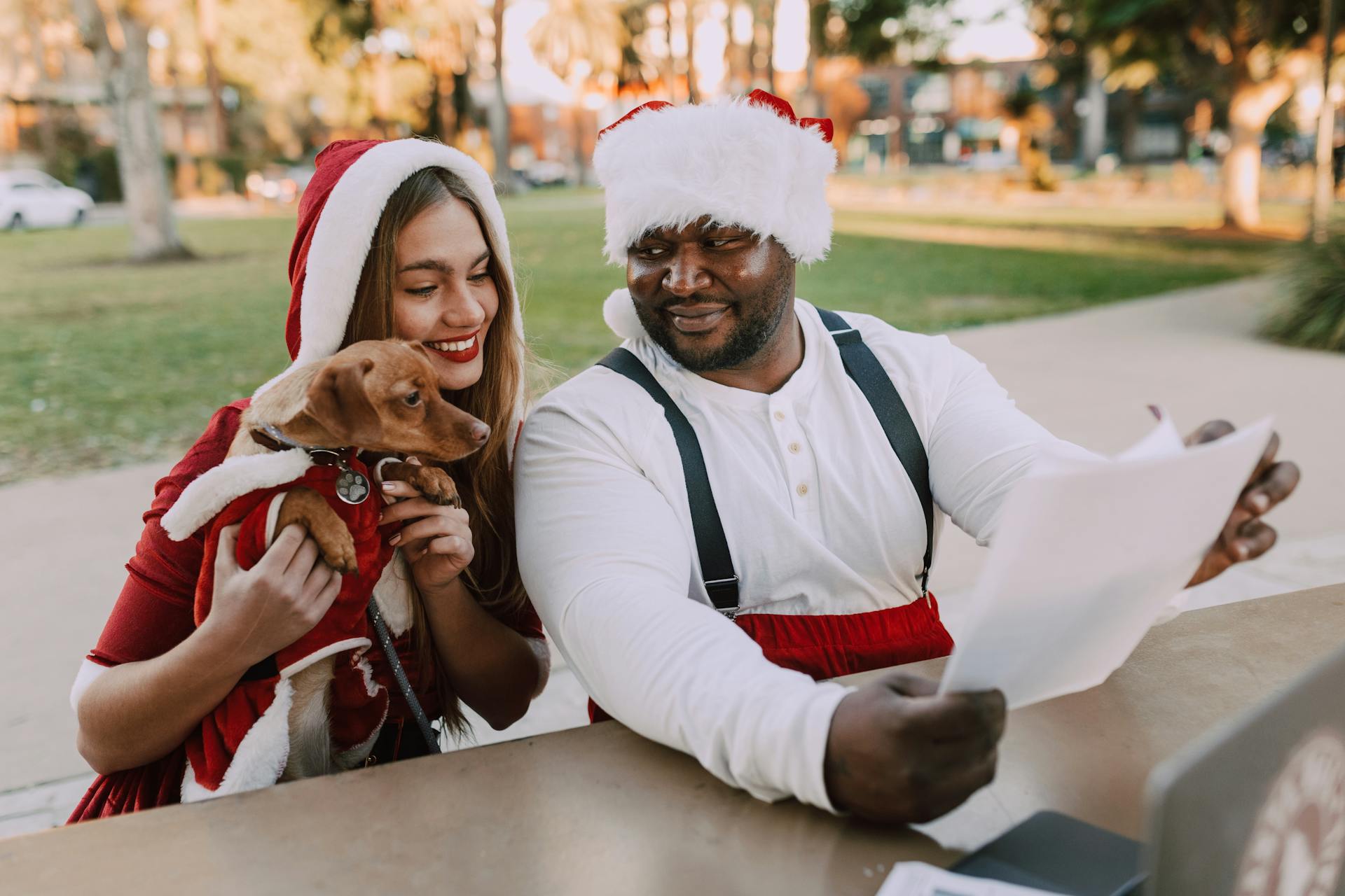 A Couple and a Brown Puppy Wearing Santa Costume Reading a Document