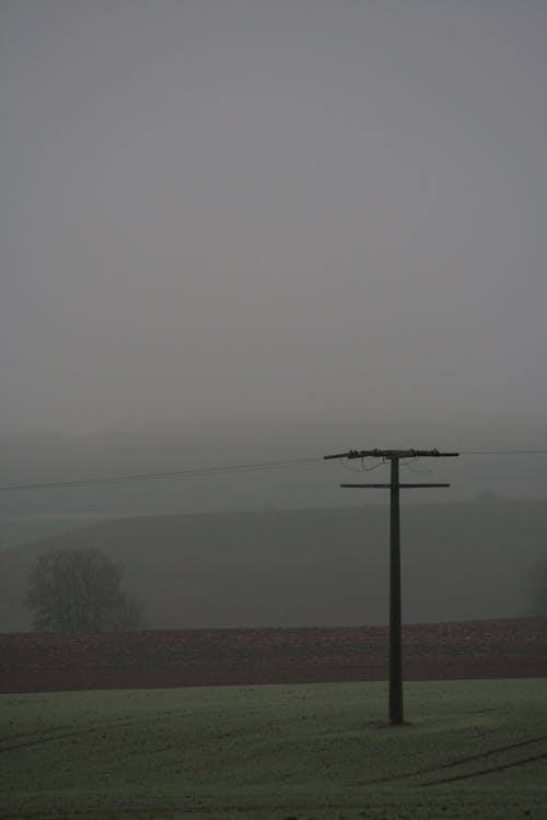 Rural Scenery in Fog
