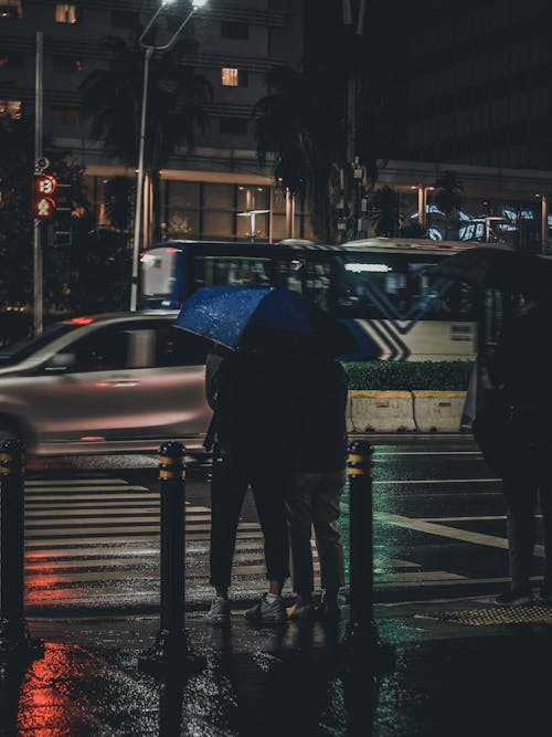 People under Umbrella Waiting at Zebra Crossing