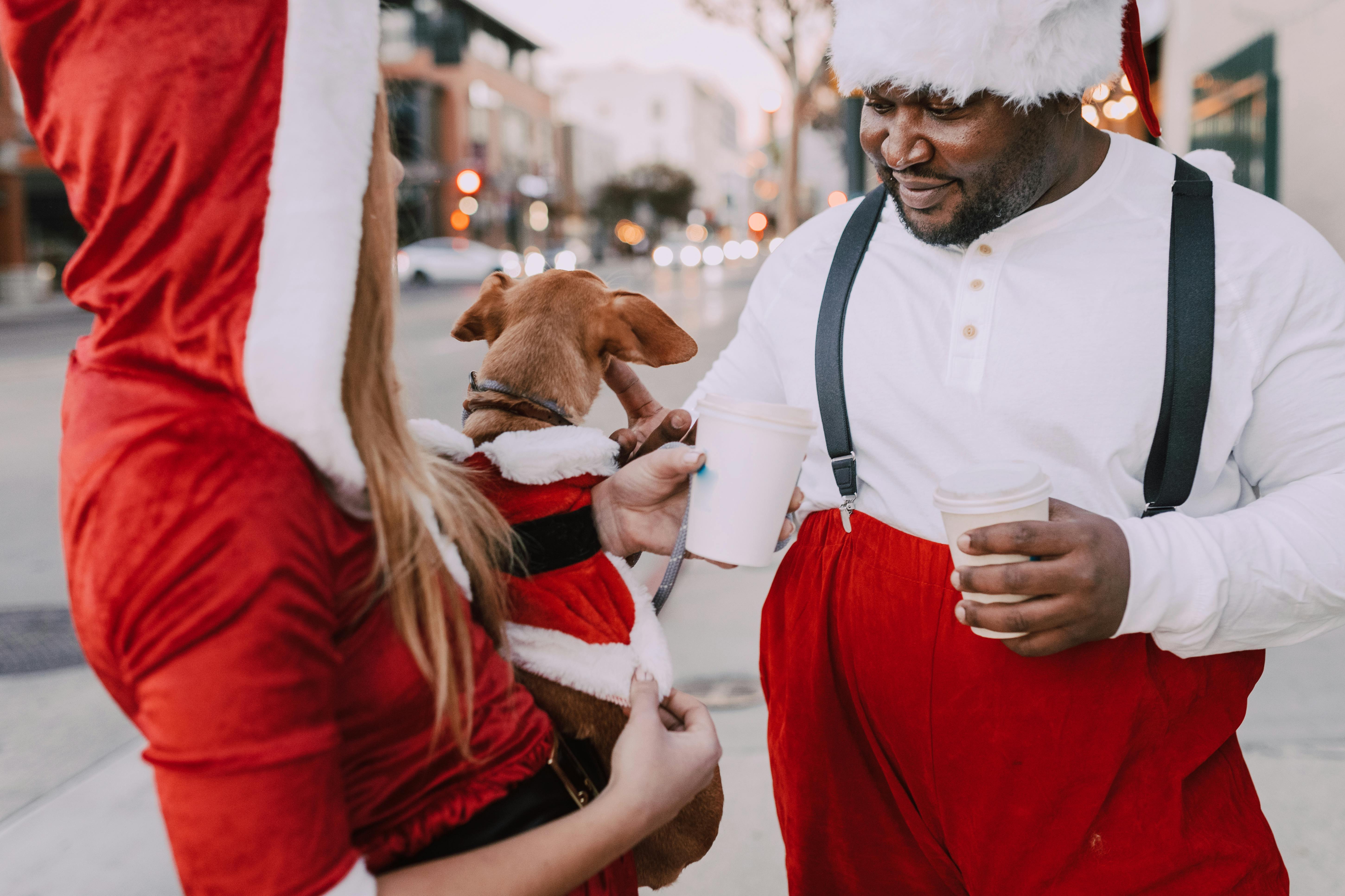 Man Wearing a Santa Hat Petting a Dog