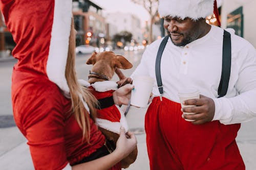 無料 茶色の短いコートの犬を保持している赤い長袖シャツの女性 写真素材