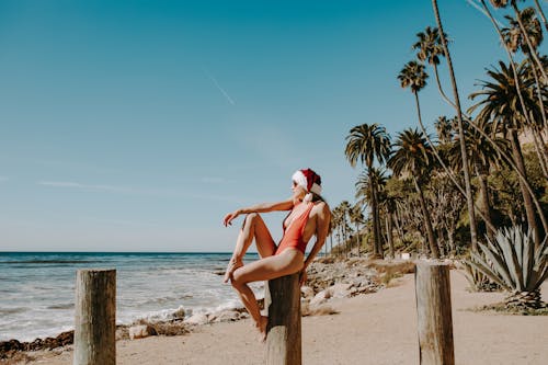 Woman in White Bikini Sitting on Brown Wooden Post Near Beach
