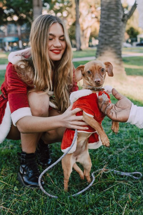 Free A woman smiling while holding a dog dressed in a Santa costume on a sunny day. Stock Photo