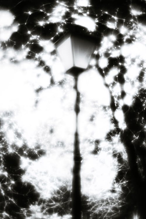 Fotobanka s bezplatnými fotkami na tému abstraktný, čierny a biely, pouličná lampa
