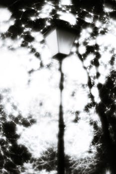Blurred street lamp with abstract light patterns in monochrome, creating an ethereal atmosphere.