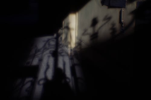 Foto profissional grátis de escuridão, leve, muro