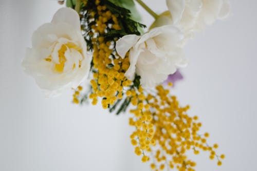 Bunga Putih Dan Kuning Di Meja Putih