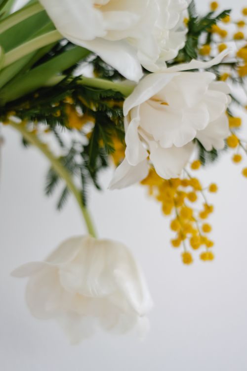 Free Close-up of white roses and yellow flowers on a light background, embodying delicate beauty and subtle elegance. Stock Photo