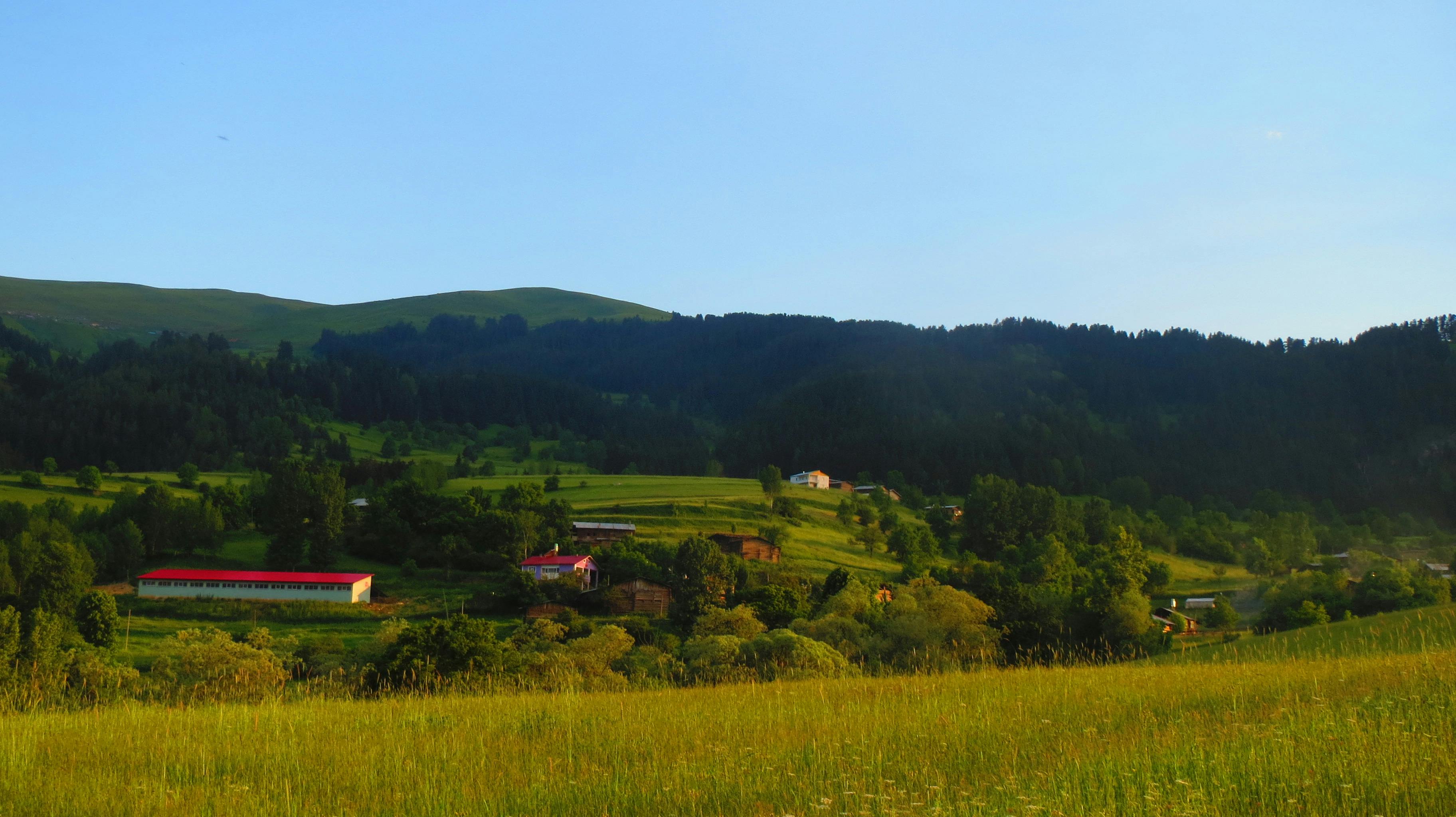 Nigerian YouTuber filming and editing with AI tools