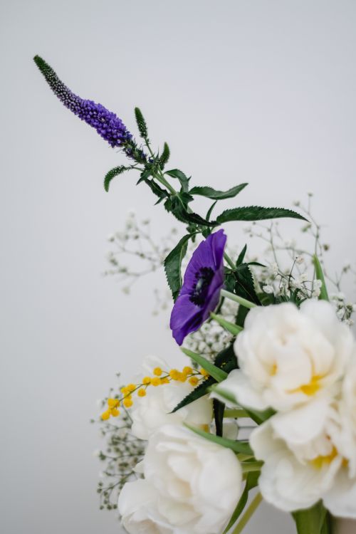 Free A beautiful floral arrangement featuring white flowers and vibrant purple accents on a white background. Stock Photo
