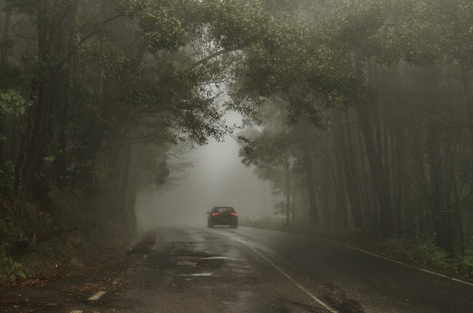 Free stock photo of bosque, car, car lights