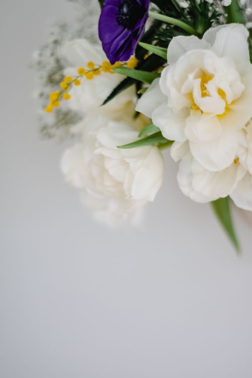 Free Delicate arrangement of white and purple flowers with green leaves on a white backdrop, perfect for elegant decor. Stock Photo