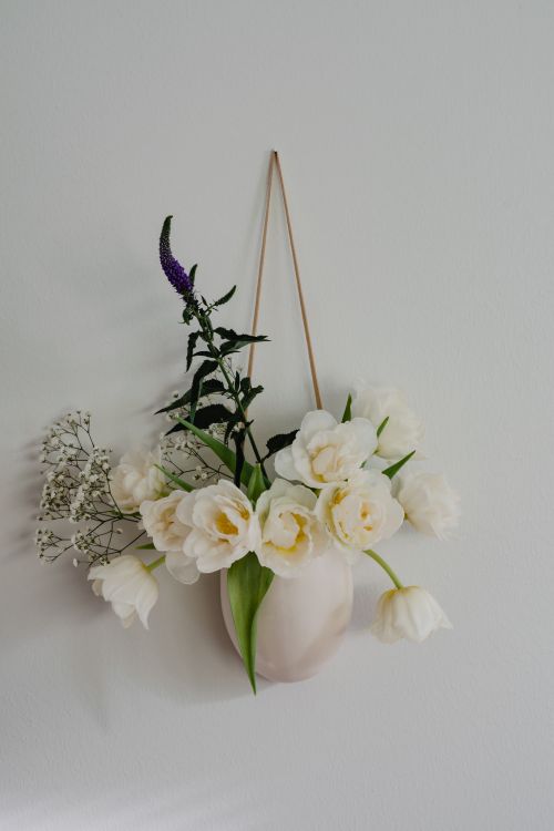 Free A beautiful arrangement of white tulips and baby’s breath on a white wall in Helsinki. Stock Photo