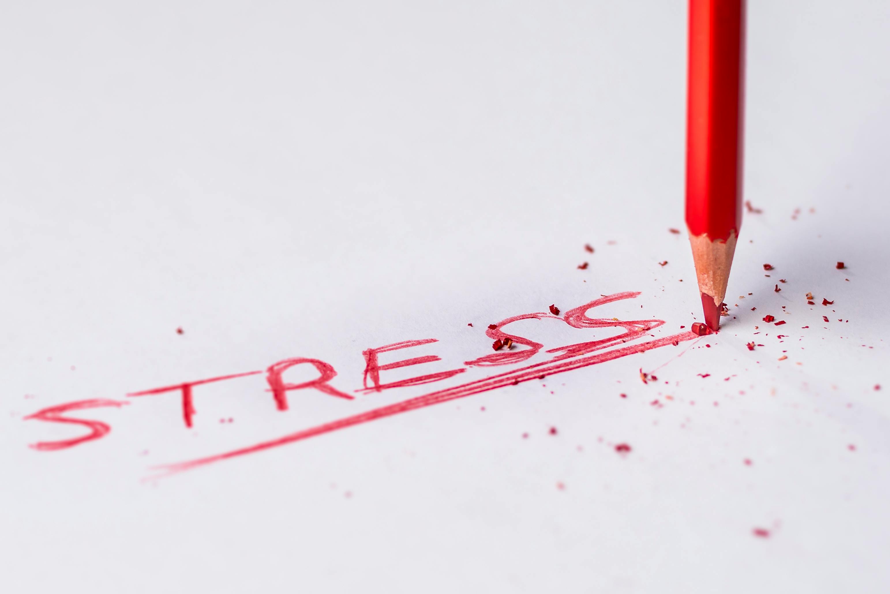 free stressers that work