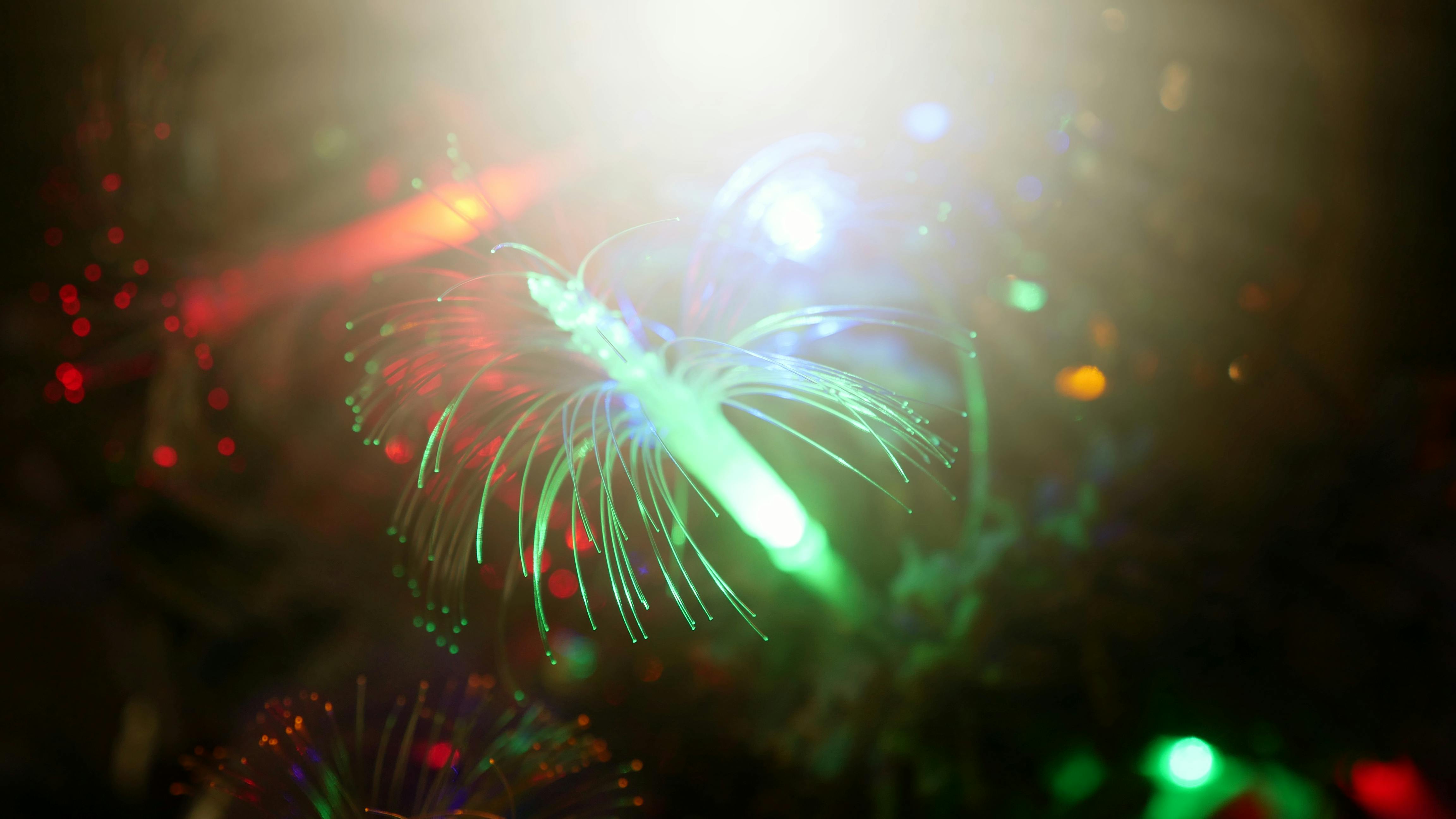 Cricket bowler celebrating a wicket with teammates