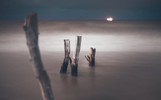Misty seascape at dusk in Gdańsk, Poland with wooden poles in the water and distant ship lights.