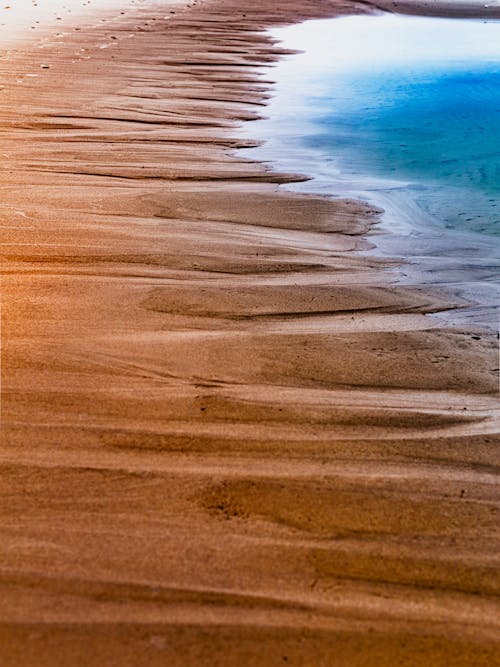 คลังภาพถ่ายฟรี ของ กลางแจ้ง, ชายหาด, ทราย